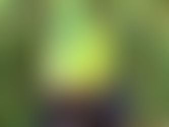 Excellent muguet du moi de mai