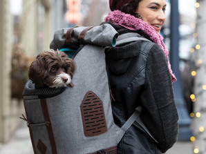 Kurgo K9 Rucksack – Redefined Pet Carrier Backpack for Dogs