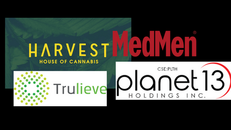 Weed Stocks Are Trending