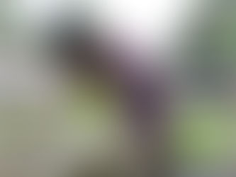 Cómo reconocer el vértigo y a qué especialista debemos acudir
