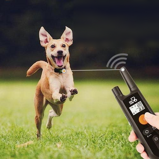 dog care training collar tc01