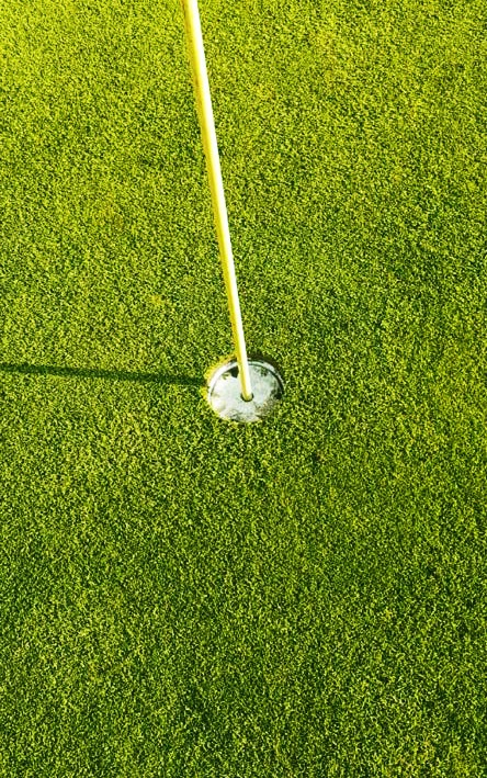 Lifted cups at the New Liskeard Golf Club on opening weekend.