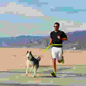 Impulse Control Training and Games for Dogs