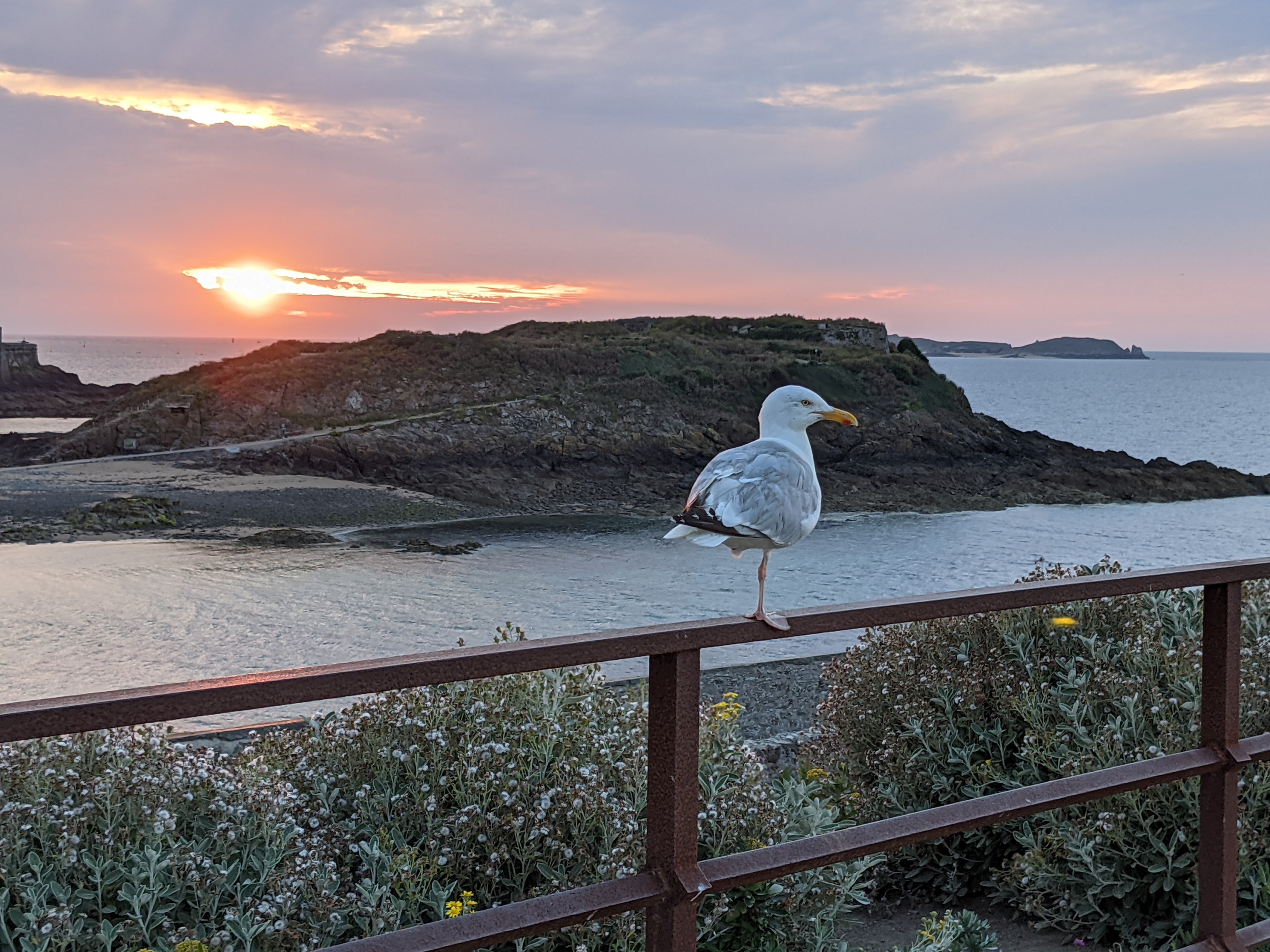 Bretagne, de la côte d'Emeraude à la côte de Granit rose content media