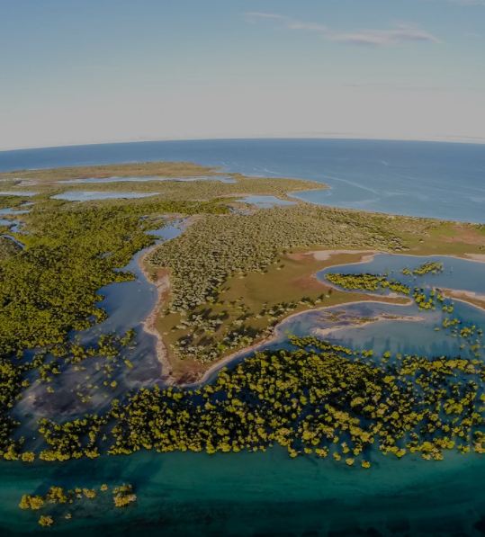 Aerial photo - wetlands