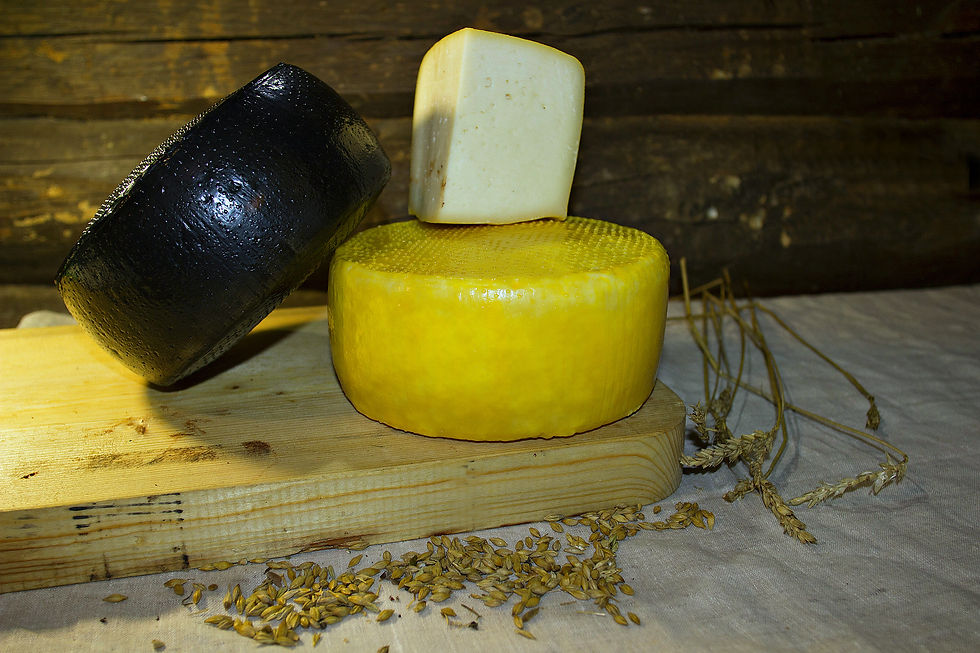 Продам козий сыр Гауда