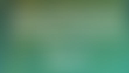 The persons who lie to themselves...