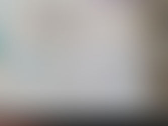 6⁰5; Describe a Jones family member.