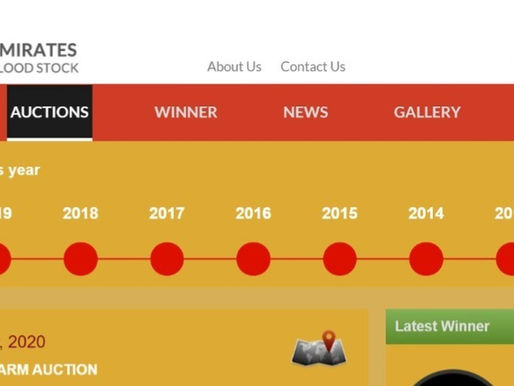 Emirates Bloodstock Auctions: Al Aweer Farm Sale