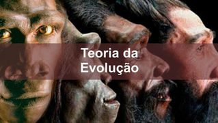 PODE UM CATÓLICO DEFENDER A TEORIA DA EVOLUÇÃO?
