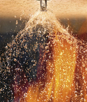 Facts about Sprinklers