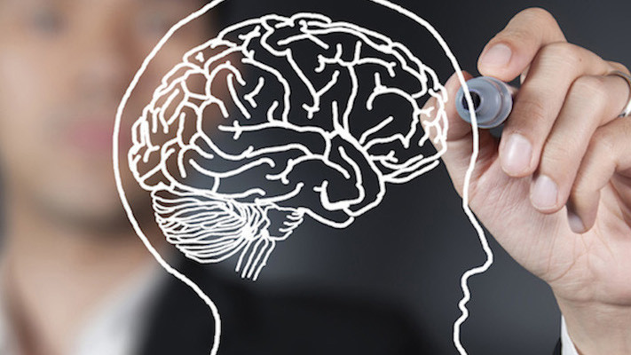 Neuroeconomia: como ela pode ajudar sua empresa.