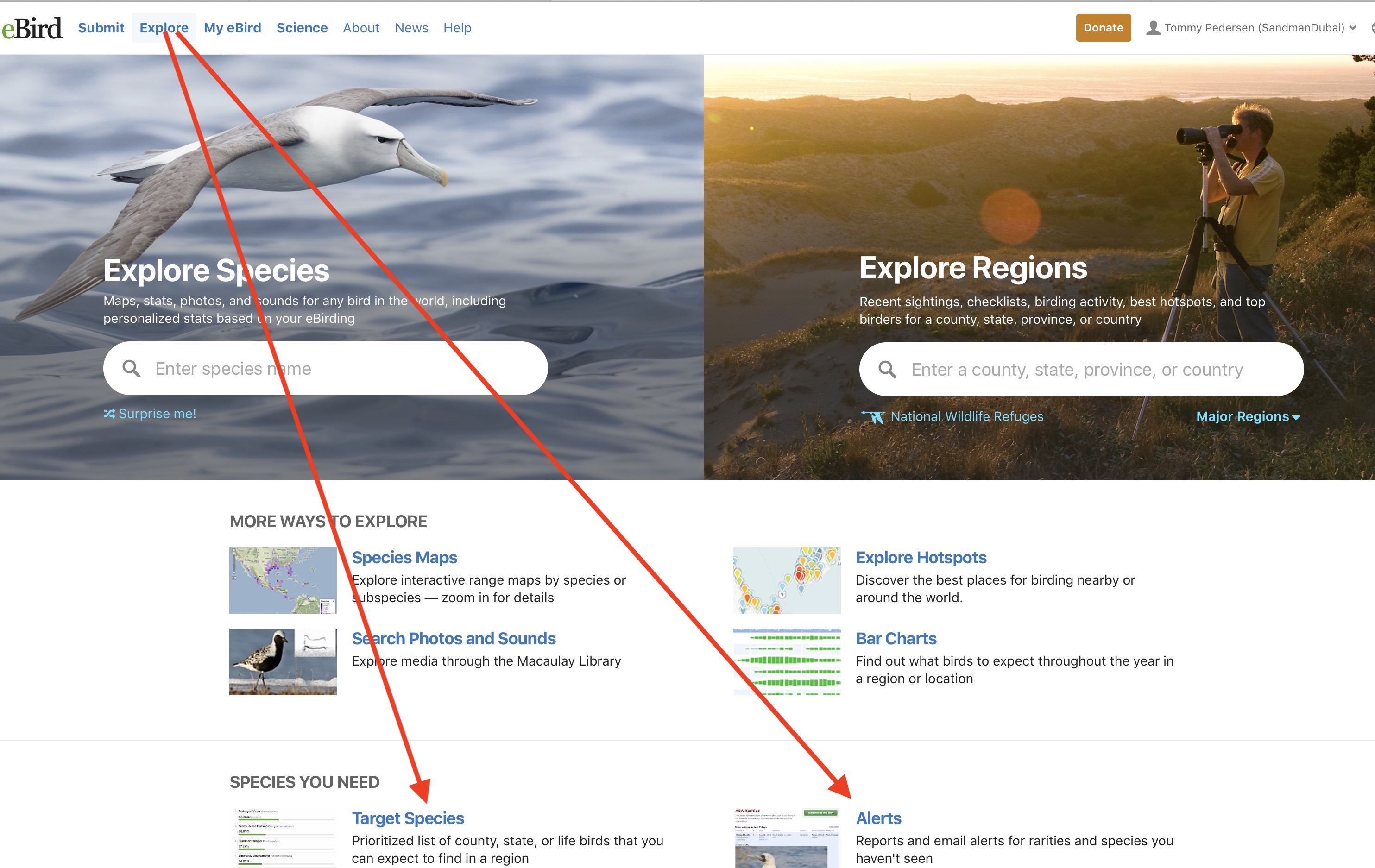 eBird alerts and Target Species content media