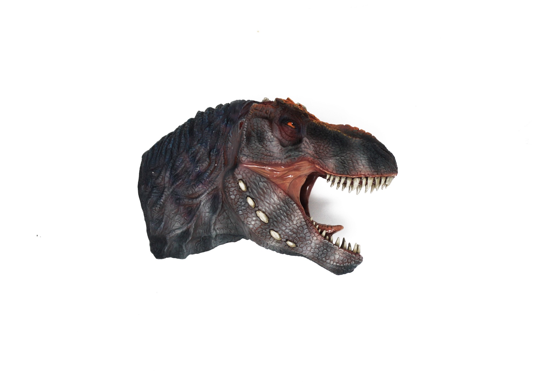 Modelli Paleontologici di Alta qualità content media