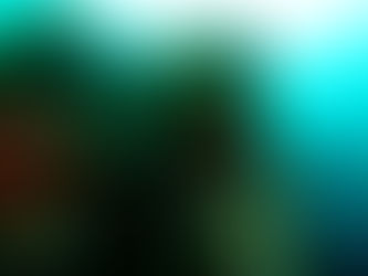 [7월 18일~19일] 동해 다이빙여행~