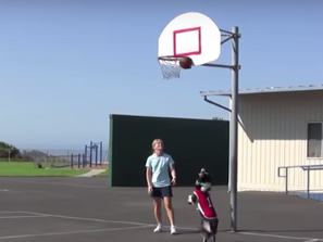 My dog plays better basketball than you!