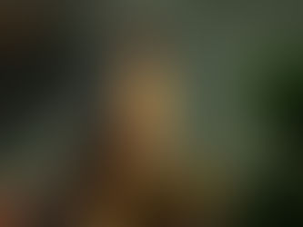 環保組織呼籲政府資助袋鼠控制