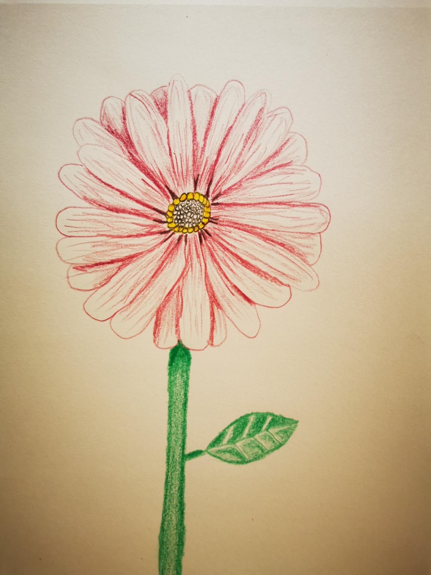 Farbkurs Blume content media