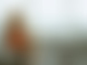 Where are the Women CEOs?