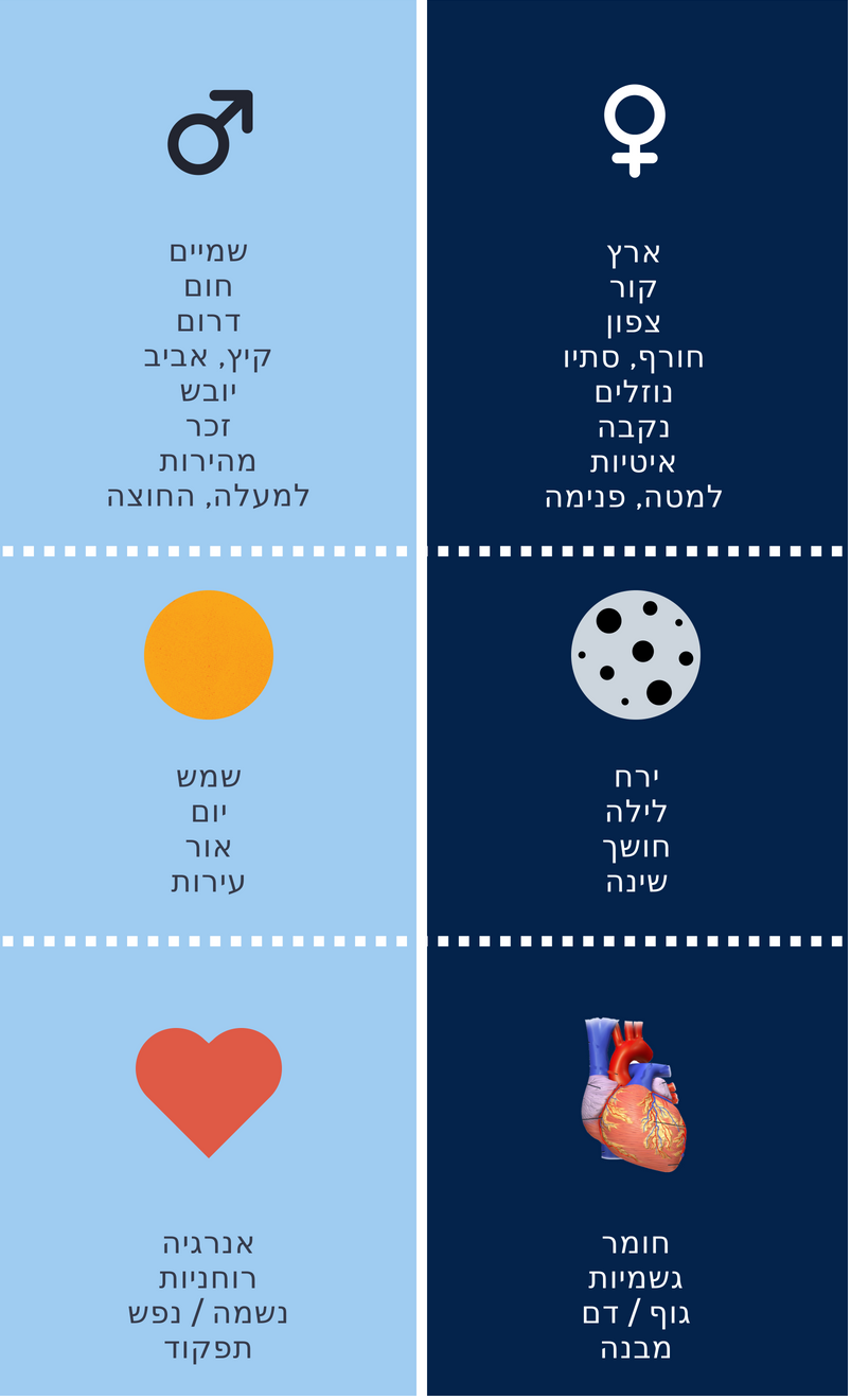 מה זה יין ויאנג