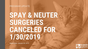 Spay and neuter surgeries scheduled for Wednesday 1/30/19 to be rescheduled