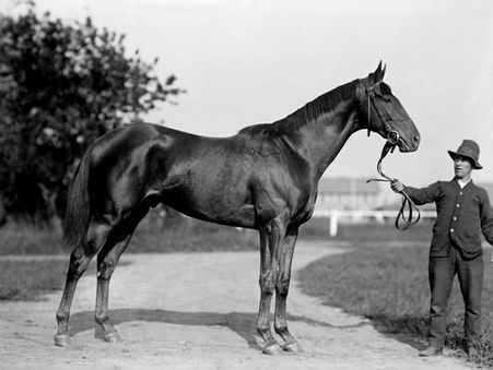 Louis Feustel and Man o' War: The Unbeatable Team