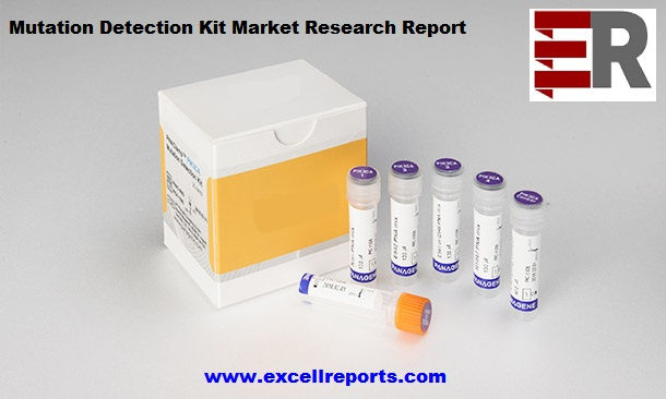 Mutation Detection Kit
