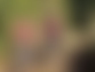 La sortie du "Sanglier"