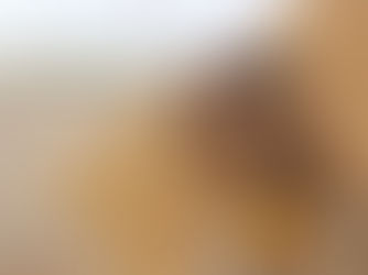 Simulação de acordo trabalhista