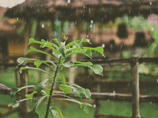 The other traditions of Karkidakam (Monsoon Season)