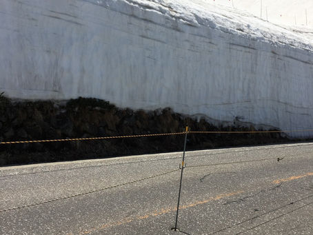 幻想的なロマンチックな世界観-葛城