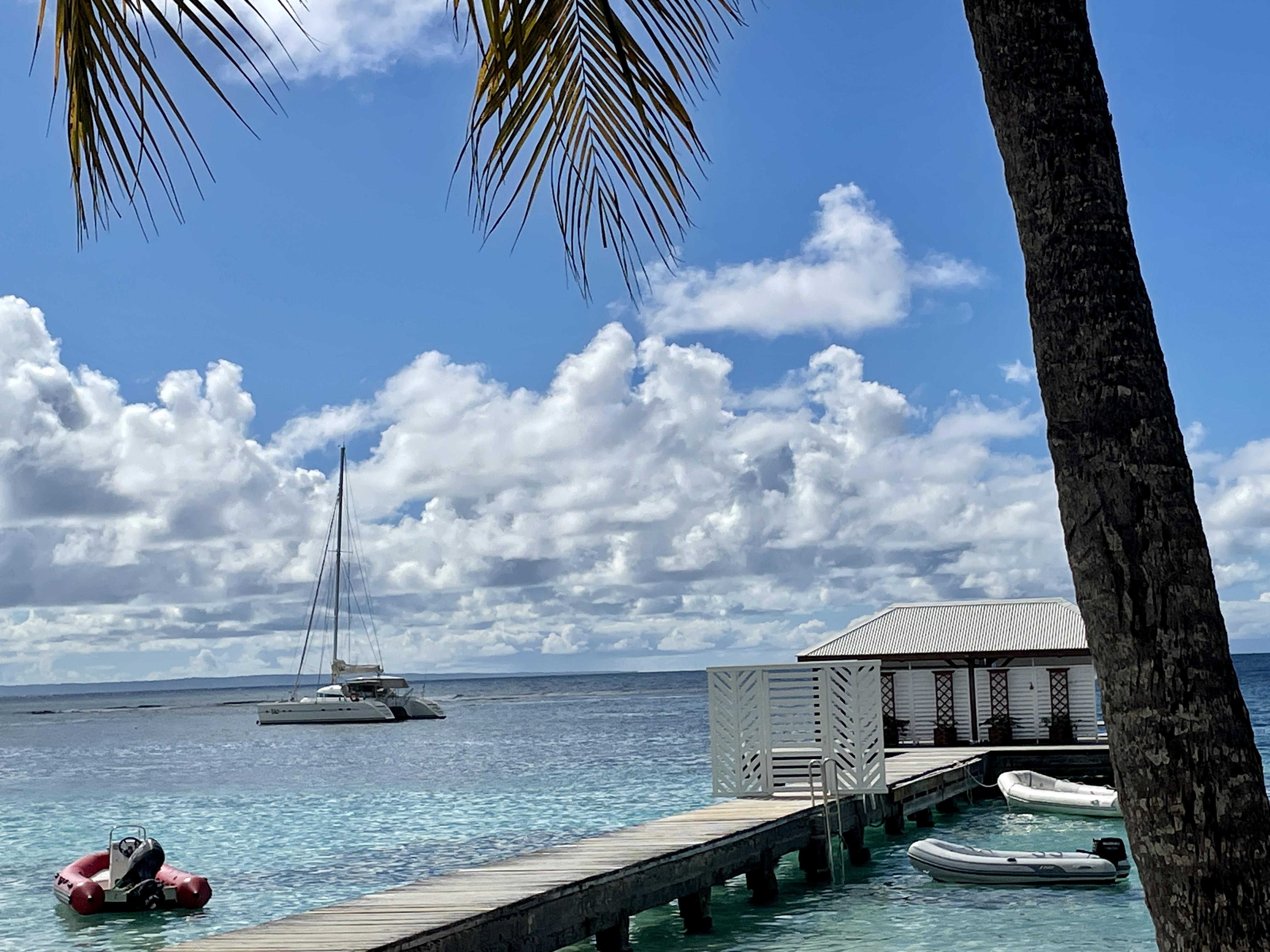 Le soleil de Guadeloupe en plein hiver content media