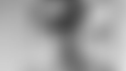 Remembrance 2020: Orange V.C. Heroes