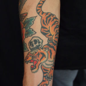 Tigre