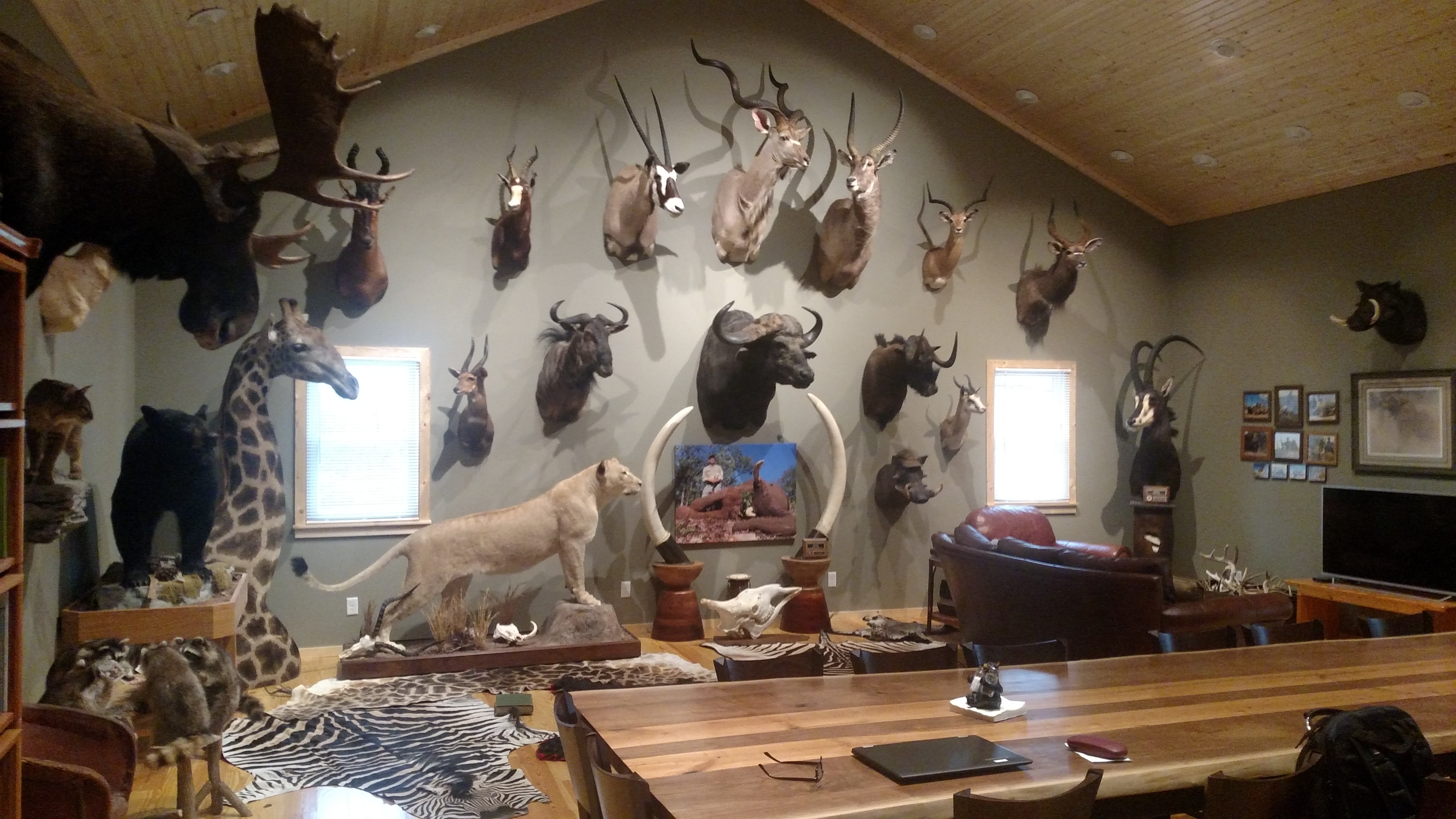 Let's see pictures of your Trophy Room content media