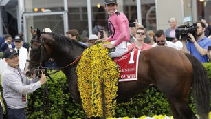 2020 Preakness Stakes Contenders