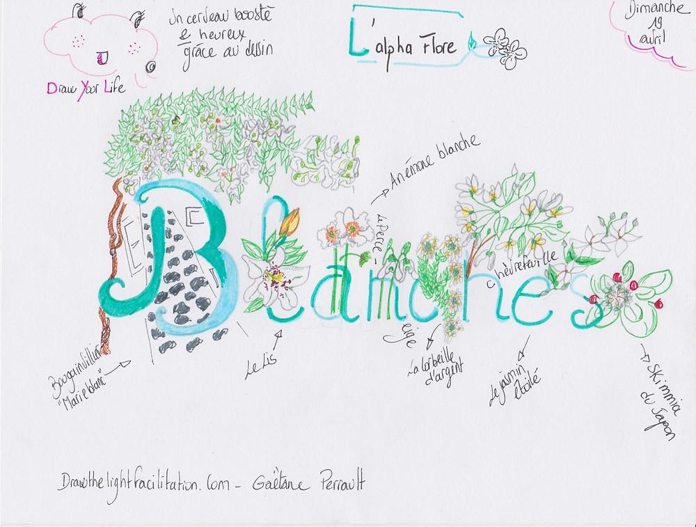 Alpha flore- Drawthelight Facilitation - Gaëtane Perrault