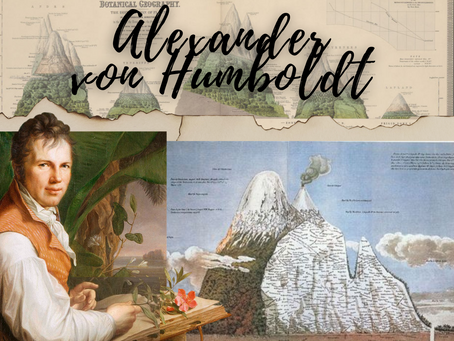 Alexander von Humboldt, o naturalista que influenciou Darwin (e além)