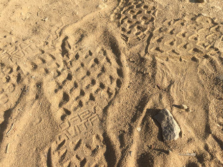 4 etapas para passar da reacção emocional à atitude sábia.