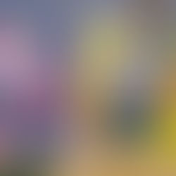 信州プロレス(^^)/当社スタッフが!!