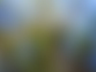 見える人には見える