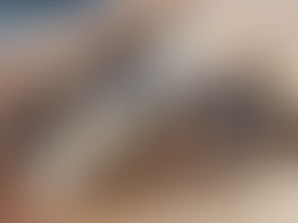 Lottie's school time breakfast bars