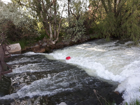 Please help us by keeping trash out of the Canals! Thanks!