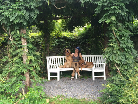 Quill Teal-Sullivan: Preserving Gardens as Living Artifacts of Human Endeavors
