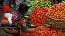 Acerca da escassez de alimentos