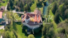 Schloss Wald in Niederösterreich