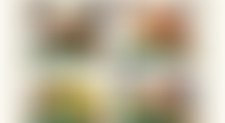 ランチセット1,050円(税込)