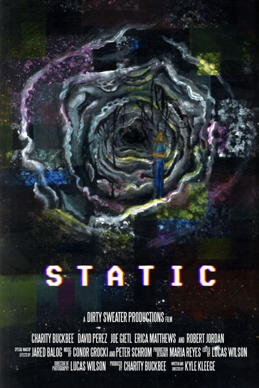 A poster depicting a woman standing in some type of grotesque cavern surrounded by different textures and colours.