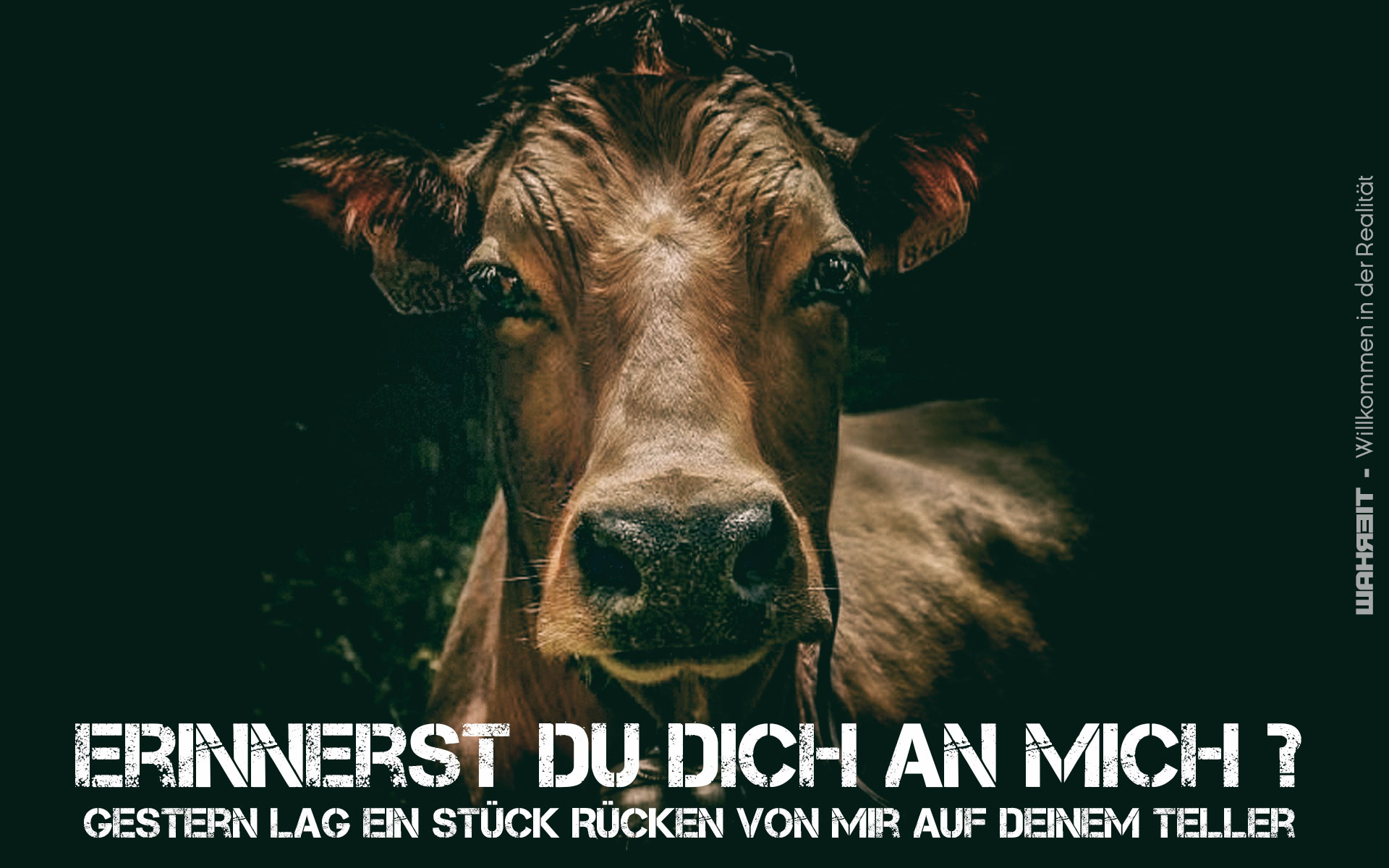 Von Zeichnungen zu Fotos, Malerei; Theater, Happening und mehr..Kunst ist Freiheit content media