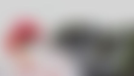 Benfica é o nosso nome próprio